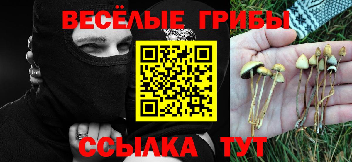 Омск  Псилоцибиновые грибы GOLDEN TEACHER  Вход с VPN 