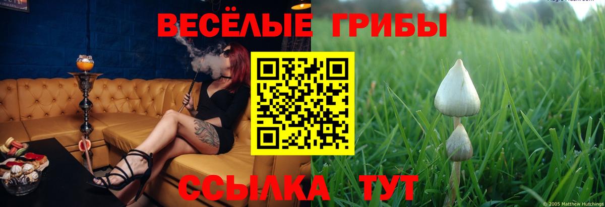 Псилоцибиновые грибы ЛСД Омск